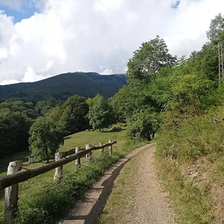 Il Rifugio Sui Tetti Tatil Evi Camandona