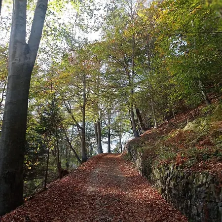 Il Rifugio Sui Tetti